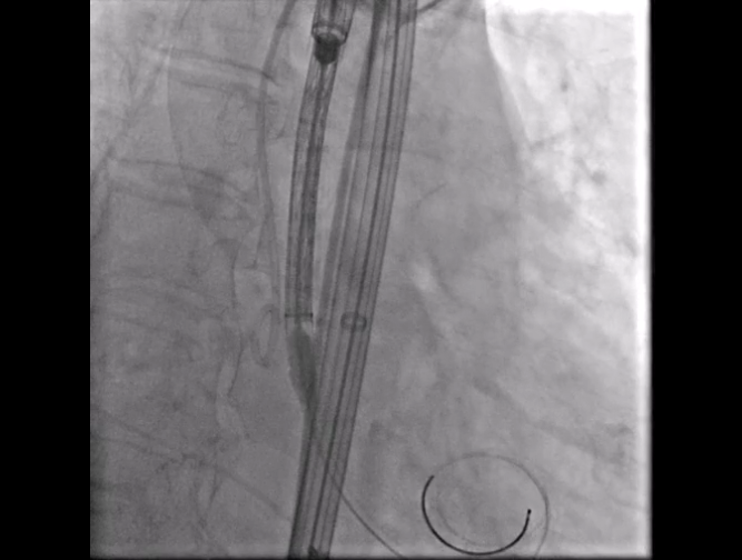 1767154622145582.png 24.png