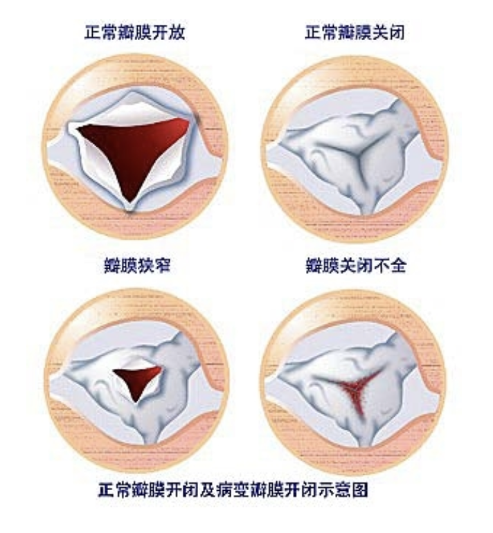 截屏2019-12-12下午1.32.43