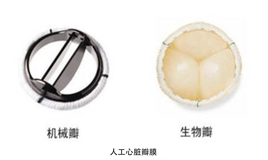 截屏2019-12-12下午2.11.08