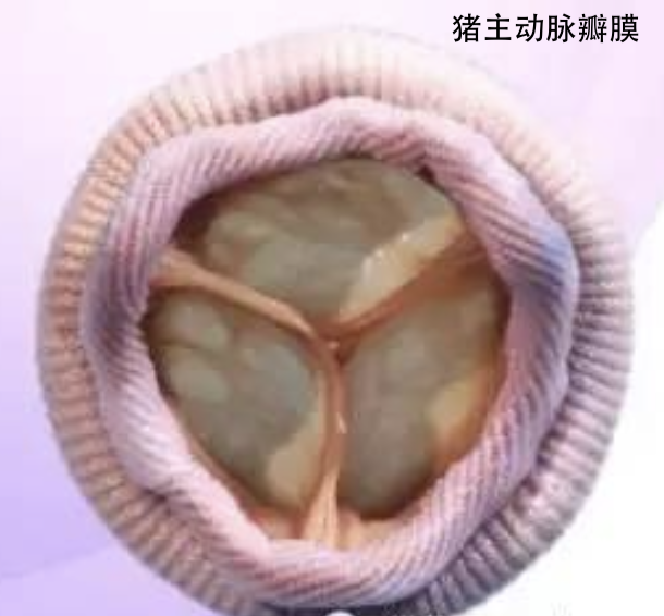 截屏2019-12-12下午2.46.50