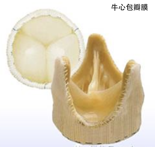 截屏2019-12-12下午2.47.30