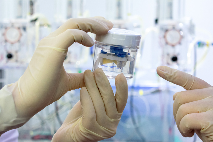 微信图片_20190220183747