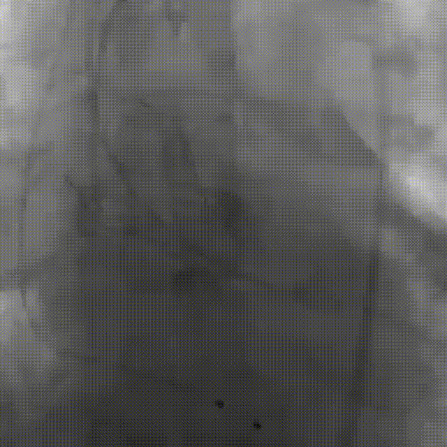 10.gif